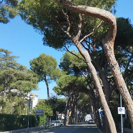 Il Gelsomino * ريتشيوني